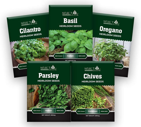 5 Herb Seeds Variety Kit, Oregano, Cilantro, Parsley, Basil, Chives...