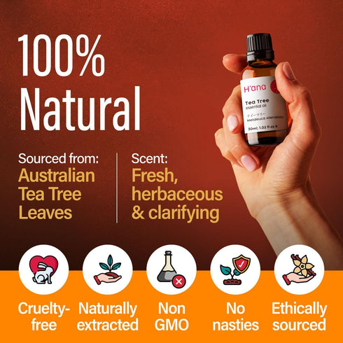 H'ana Tea Tree Essential Oil - 100% Pure and Natural Tea Tree Oil for Skin, Hair, Face, Toenails, and Aromatherapy - With a Distinct, Medicinal (1...