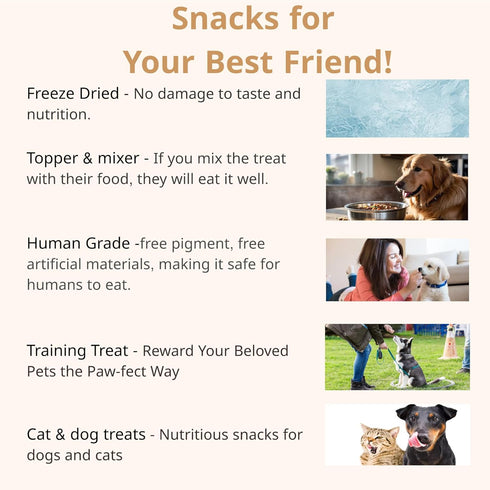 Low Salted Pollack Fish Snacks | Natural Air Dried Dog Treats & Cat Treats | Training Treats for Dogs | Rich with Fish Oil for Dogs | All Breeds &...