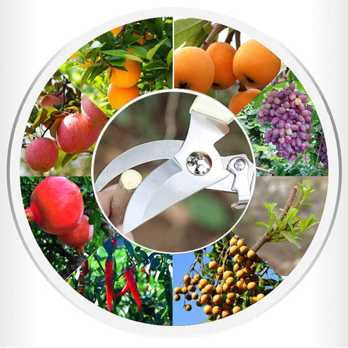 Leize Pruning Shears, Gardening Hand Pruner, Floral Shears, Strong Pruner for Flowers, Branches and Leaves (LightBlueA)...