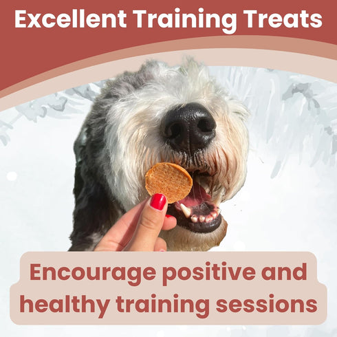 Dog Training Treats - Turkey Chips, Single Ingredient, Lean, All Natural, Healthy Dog Treats for Small, Medium, Large Dog Breeds, & Puppies, Made ...