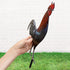 Yardwe 2pcs Chicken Rooster Yard Art Garden Stake Realistic Lifelike Hen Garden Poultry Statue Rooster Animals Sculpture for Yard Garden Lawn Outd...