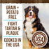 Merrick Fresh Kisses Natural Dental Chews, Toothbrush Shape Treat Infused With Real Mint, For Large Dogs - 7 ct. Bag...