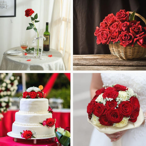 JUSTOYOU 10Pcs Artificial Roses Flowers, Realistic Blossom Roses, Real Touch Silk Rose, Single Fake Flower Long Stem Bouquets for Home Wedding Par...