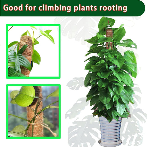 Moss Pole -2 Pack 17 Inch Monstera Plant Support for Climbing Plants Accessories Indoor -Stackable Moss Poles Plant Support Stakes -Coir Plant Pol...