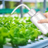 Tatoo Lash squeeze Bottle,Safety Rinse Bottle, Plastic Squeeze Medical Lab Washing Bottle (white, 150 ml)...