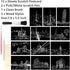 Magic Scratch Art Paper(7.9"x5.5") Rainbow Landscape Engraving Art Mini Scratchboard DIY Pads for Adults and Kids, Crafts Set: 12 Sheets Scratch P...