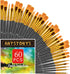 Paint Brushes Set, 60 Pcs Paint Brushes for Acrylic Painting, Oil Watercolor Acrylic Paint Brush, Artist Paintbrushes for Body Face Rock Canvas, K...