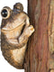 Bits and Pieces – Keep Quiet Frog Tree Peeker - Yard Decorations - Adorable Tree Sculpture - Garden Decoration - Garden Peeker Tree-Hugger Yard Ar...