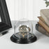 Plymor 3" x 3" Glass Display Dome Cloche (Black Wood Veneer Base)...