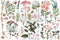 Redesign Decor Furniture Nightstand Decorartion Transfers - Botanical Paradise - 3 Sheets, 6"x12"...