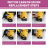 Electric Motor Carbon Brushes 40Pcs 10 Different Models of Carbon Brushes Suitable for The Maintenance of Carbon Brush Motors...