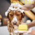 Dog/Cat Bath Brush Massage Brush Pet Scrubber Brush Dog Shampoo Scrubber Brush for Short & Long Haired Dogs/Cats....