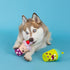 Fringe Studio Dog Toy Set, Best-Teas, 2Pc Mini, Latex, Pet Shop Collection (368012)...