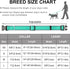 Dynmeow Reflective Dog Collar and Leash Set, 6FT Strong Climbing Rope Leash with Padded Handle, Adjustable Pet Collar with Soft Neoprene Padding f...