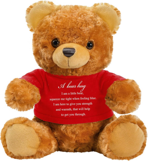 Bear Plush Stuffed Animal Sympathy Gift with a Bear Hug Sign Clothing Hug Bear Gift for Kids Condolences Memorial Comfort Loss of Loved One(Brown,...