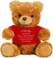 Bear Plush Stuffed Animal Sympathy Gift with a Bear Hug Sign Clothing Hug Bear Gift for Kids Condolences Memorial Comfort Loss of Loved One(Brown,...