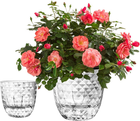 Self Watering Pots for Indoor Plants, Plant Pots Indoor 4/6 Inch, Small Plant Pots, Flowers Pots for Indoor Plants, Self Watering Planter for All ...