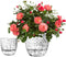 Self Watering Pots for Indoor Plants, Plant Pots Indoor 4/6 Inch, Small Plant Pots, Flowers Pots for Indoor Plants, Self Watering Planter for All ...