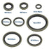 SING F LTD 200Pcs Oil Seal Washer Metal Seal Oil Washers G1/8 M6 M8 M10 M12 M16 M20 M24 Bonded Sealing Washer Assortment Kit for Automotive,Hydrau...