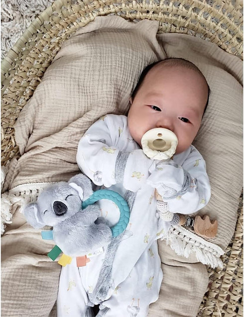 Itzy Ritzy - Ritzy Rattle Pal with Teether - Baby Teething Toy Features A Minky Plush Character, Gentle Rattle Sound & Soft Teether Toy for Newbor...