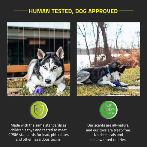 Playology Silver - Dental Chew Ball Dog Toy, Large - Designed for Senior Dogs (35lbs and Up) - Engaging All-Natural Pork Sausage Scent - Non-Toxic...