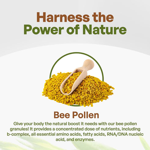 Go Nutra Bee Pollen Granules Pure | Fresh Harvest, Natural Superfood, Raw Sweet Flavor | Rich in B Vitamins, Minerals, Protein, & Antioxidants | K...