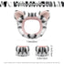 Soft and Comfy Face Wash Headband and Wristband Set | Spa Headband for Washing Face | Cute Tiger Design | 3-Piece Set Skincare Headbands Hair Band...