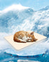 Dog Cooling Mat Cat Cooling Mat 15.7" x 11.8" Small Self-Cooling Pad for Dogs Sleeping Mats for Dog and Cat Durable Self Cooling Pet Blanket Outdo...