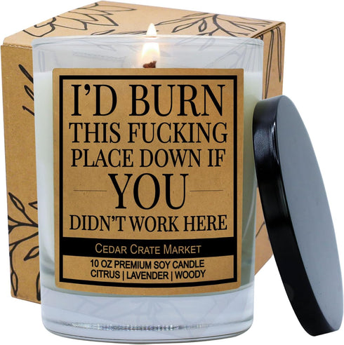 Funny Candle Gifts for Women, Men, Coworkers, Administrative Assistant, Boss Day, Promotions, Made in The USA, Presents for Best Friend Going Away...