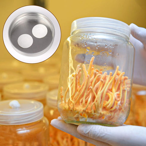 Synthetic Filter Paper Stickers 168 Pcs 20 mm 0.25 µm Filter Disc Mushroom Applied Under Wide Mouth Jar Lid for Mushroom Cultivation...
