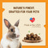 DOC EDDIE'S Vitamin C Bites - Small Animal Treats or Snack for Hamster, Guinea Pig, Rabbit, Chinchilla, Bunny, Gerbil, Mouse, Rat, Hedgehog, or Sq...