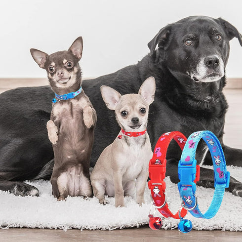 Jecikelon 6 PCS Puppy Collars Adjustable Pup Collar for XSmall Pet Dog Polyester Cat Collar with Bell Basic Collar for Extra Small Dogs (Small, Bu...