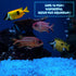 Glow in The Dark Gravel, Fluorescent Glow in The Dark Rocks Decorations Fish Tank Rocks Decorative Aquarium Gravel Stones for Garden Room Planter ...