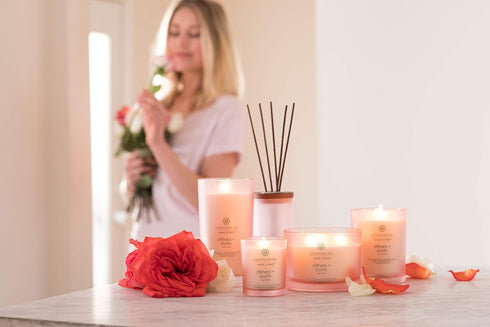 Chesapeake Bay Candle PT40896 Scented Candle, Stillness + Purity (Rose Water), Coffee Table,Orange, Home Décor...
