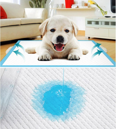 GKYZBB Absorbent pee pads for dogs and puppies pet training pads,puppy pads,dog pads,large dog pee pads (L-40)...