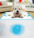 GKYZBB Absorbent pee pads for dogs and puppies pet training pads,puppy pads,dog pads,large dog pee pads (L-40)...