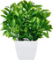 MARTINE MALL 10.3 Inches Faux Eucalyptus Plants Potted Artificial Plants in Pot Faux Plants Indoor Fake Potted Plants Fake Green Plant Bonsai with...