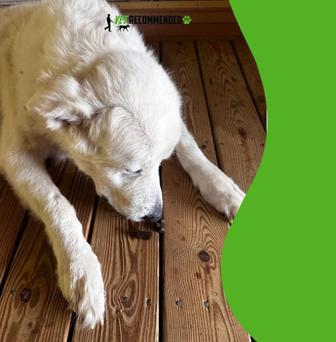 Vet Recommended™ Hip and Joint Supplement Chew for Small & Medium Dogs - Glucosamine, MSM & Chondroitin Chews | 60 Count...