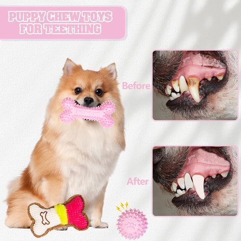 4 Pack Puppy Chew Toys for Teething Small Dogs, Pink Soft Rubber Dog Teething Toys Set for Puppies, Cute Squeaky Dog Toys for Small Breed Cleaning...