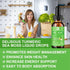 Sea Moss Liquid Drops - Organic Irish Sea Moss Gel with Burdock Root, Vitamin C, B12, 3000mg Seamoss Gel Supplement for Immune, Joint, Detox Clean...