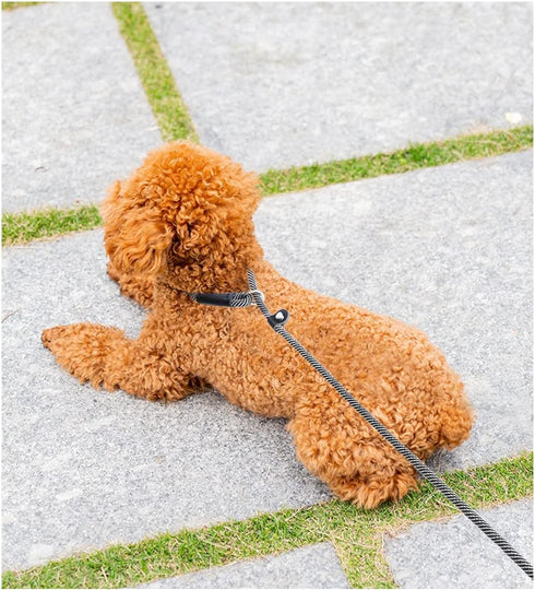 8FT Slip Lead Dog Leash, 1/3” Strong Rope Dog Leash, Adjustable No- Pull Small Dog Leash for Puppy, Small and Medium Pets Black...