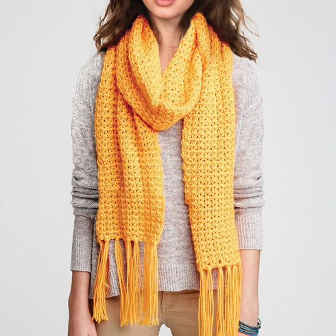 Caron Simply Soft Brites Yarn, 6 oz, Mango, 1 Ball...