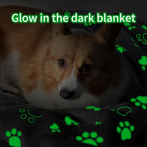 Glow Waterproof Dog Blanket, Pattern Printing Super Soft Warm Fluffy Facecloth Sofa Car Bed Protector, Urine Proof Washable Outdoor Pet Blanket fo...