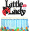 Little Lady Ladybug Theme Cake Topper for Little Girl birthday, Garden Theme Baby Shower Gender Reveal Party Decoration Supplies...