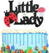 Little Lady Ladybug Theme Cake Topper for Little Girl birthday, Garden Theme Baby Shower Gender Reveal Party Decoration Supplies...