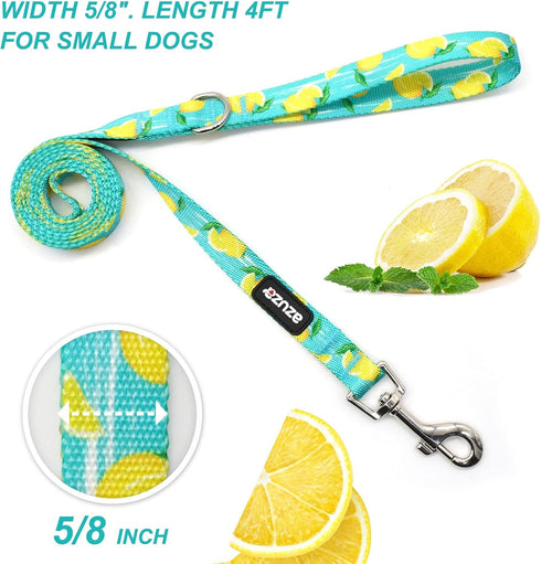 azuza 3 Pack Fruit Design Nylon Dog Leashes Strong & Durable Basic Dog Leash with Easy to Use Collar Hook for Small Dogs, S (6FT,5/8")...