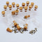 CTKcom 50pcs 0.5ml-extra Mini Tiny Clear Glass Jars Bottles with 50pcs Cork Stoppers and 50pcs Eye Screws, Glass Bottles for Decoration, Arts & Cr...