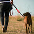 Funny Dog Leash Sleeve Stay Back Please Maintain 6 Ft Dog Leash Wrap Wrap Alert Hanging ID Patch Tag Pet Birthday Gift(Maintain 6 FT-Sleeve)...