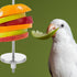 Bird Skewer, Bird Food Holder Bird Cage Food Holder Hanging Food Bird Skewer Stainless Steel Parrot Hanging Vegetable Fruit Feeder Parrot Foraging...